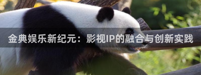 sunbet官网手机版