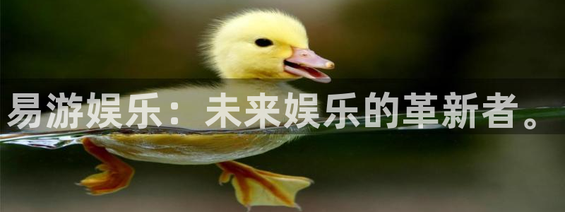 sunbet官网手机版