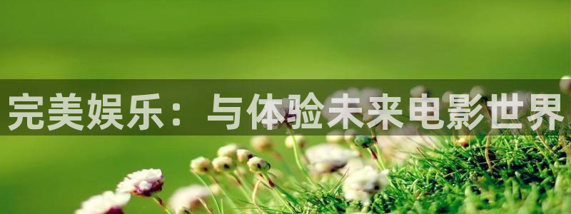 sunbet官网手机版