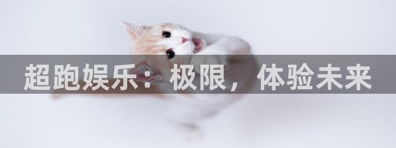 sunbet官网手机版