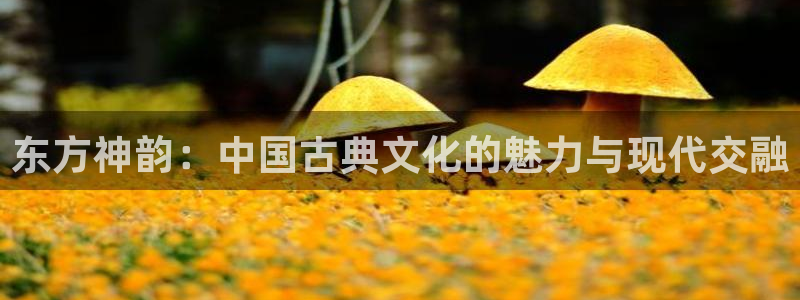 sunbet申慱官网