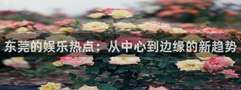 sunbet申慱官网