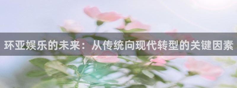 sunbet申慱官网
