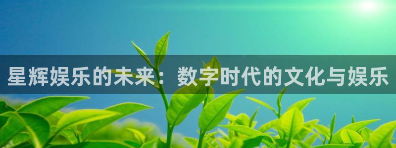 sunbet(中国区)官方网站