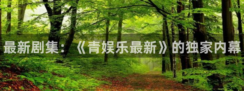 sunbet官网手机版