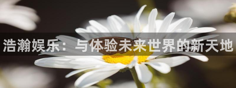 sunbet官网