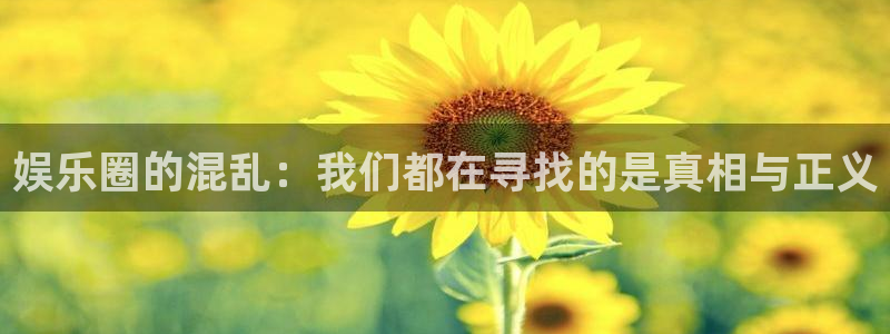 sunbet集团中国官网入口